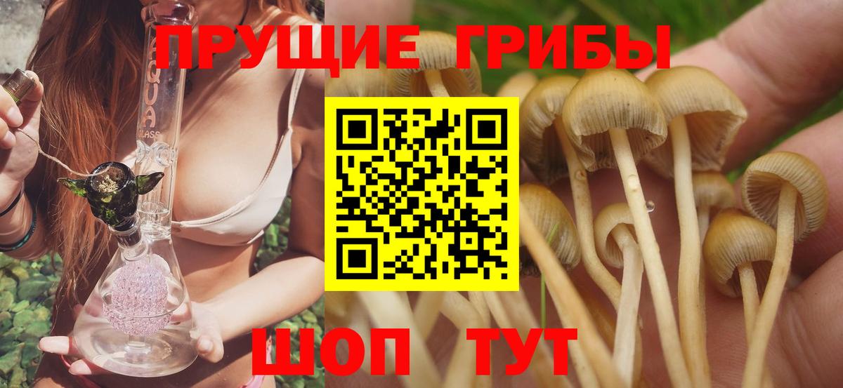 Аша  Псилоцибиновые грибы Psilocybine cubensis  Вход с VPN  Псилоцибиновые грибы ЛСД 